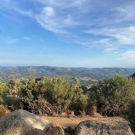 Domaine De Piscia-3